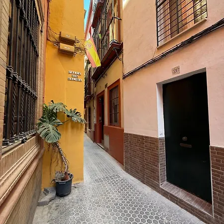 Masset Sevilla